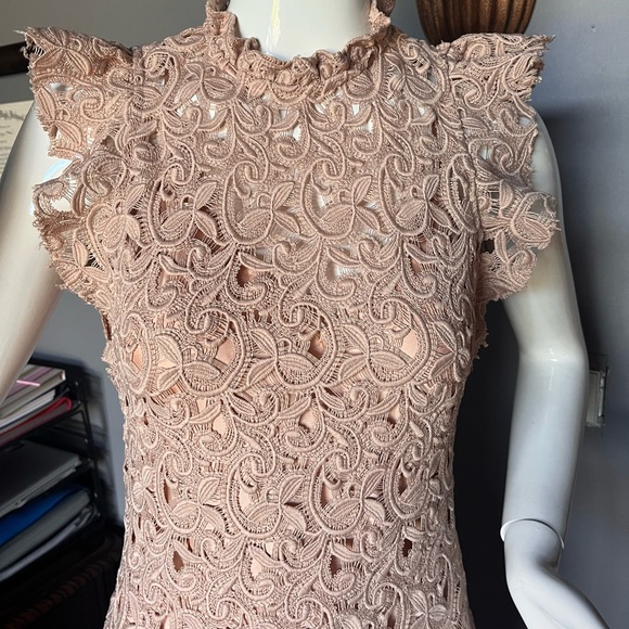 Zara Dress, nude lace sheath with flutter sleeve & neck sz XS - Picture 1 of 10